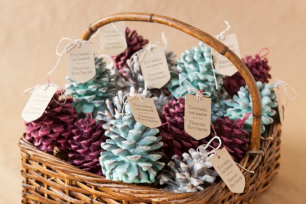 somethingturquoise-diy-pinecone-fire-starter-favors_0001